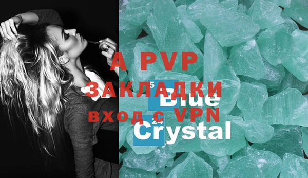 ECSTASY Елизово