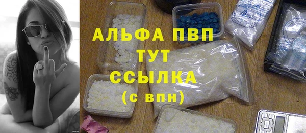 ECSTASY Елизово