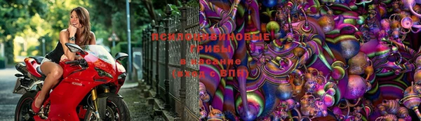 бошки Дмитриев
