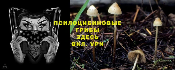 COCAINE Елабуга