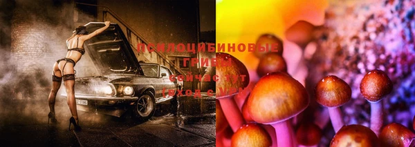 дмт Зеленокумск