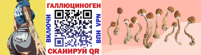 купить закладку  Киреевск  Псилоцибиновые грибы мухоморы 